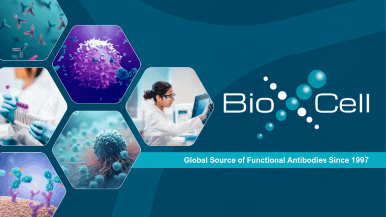 Reimagined for What’s Next